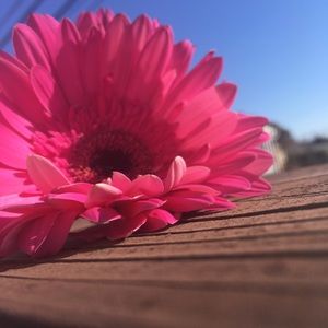 Meet your Posher, Jaden